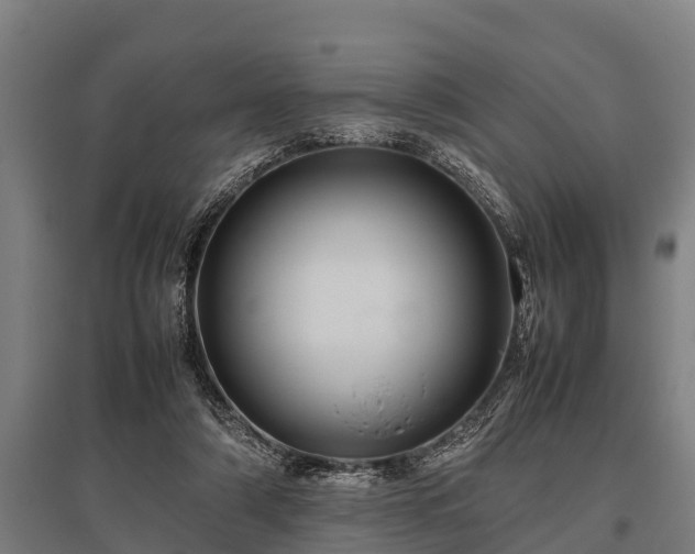 X0000095940306200801181406