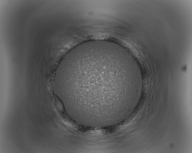 X0000095940307200801181406