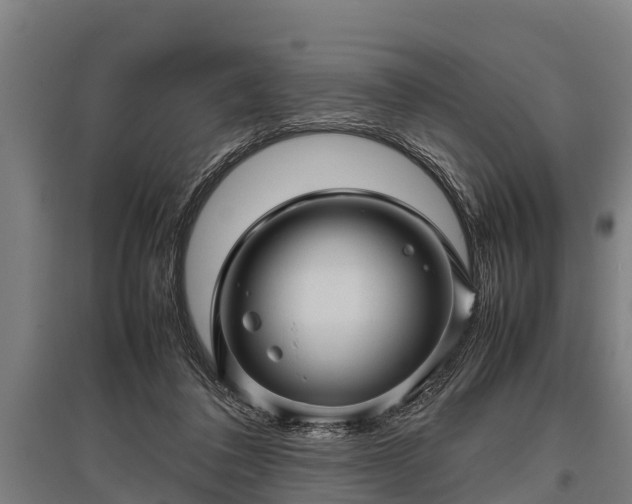 X0000095940308200801181406