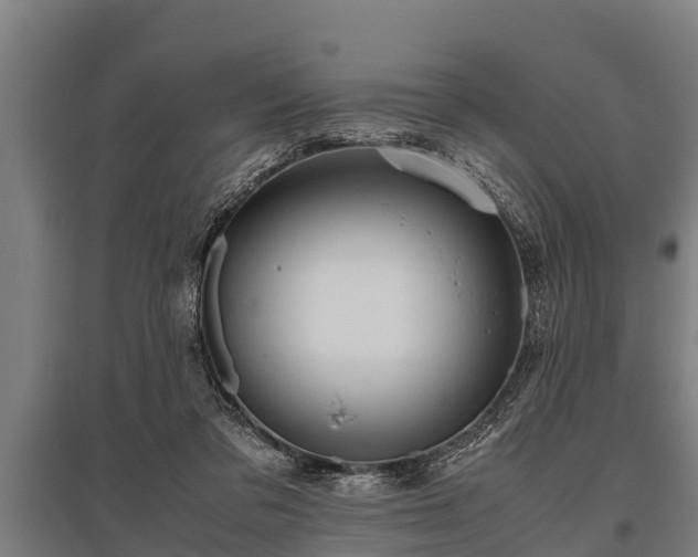 X0000095940309200801181406