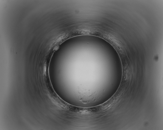 X0000095940310200801181406
