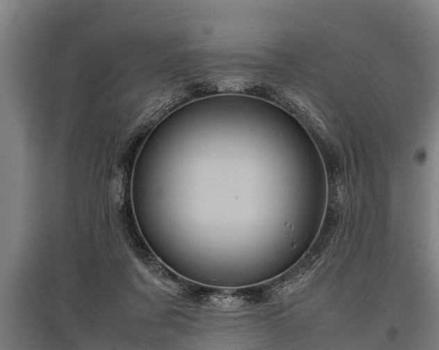 X0000095940311200801181406