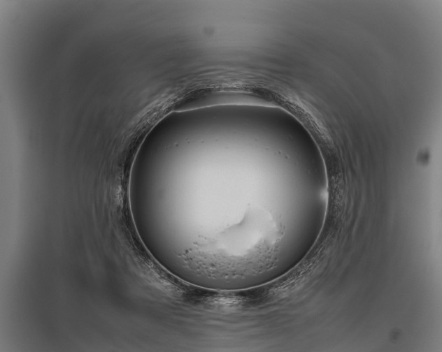 X0000095940313200801181406