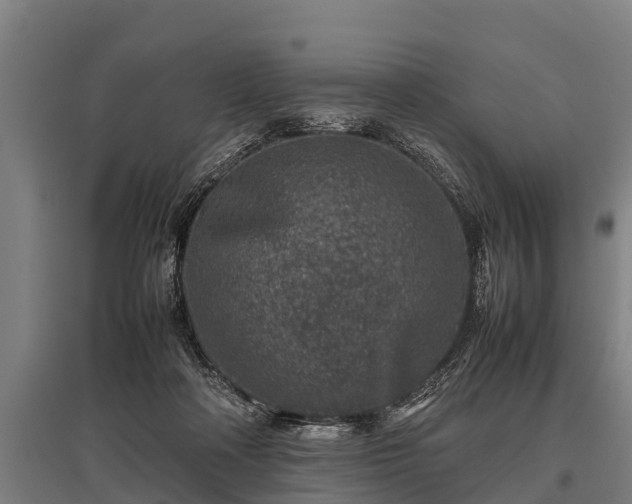 X0000095940314200801181406