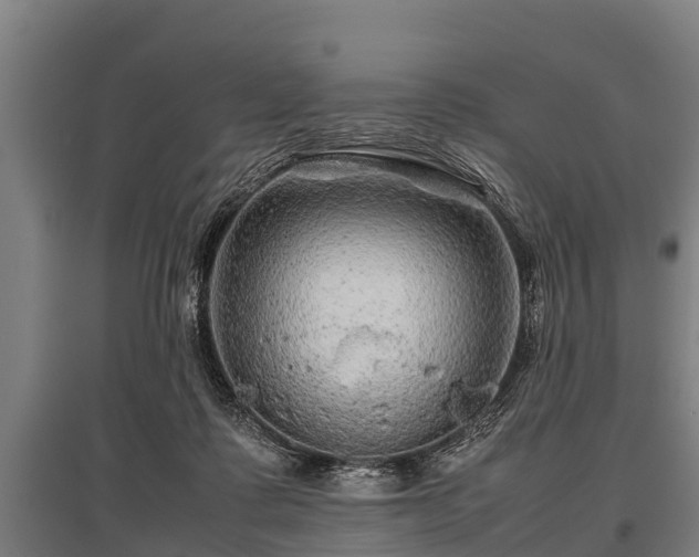 X0000095940315200801181406