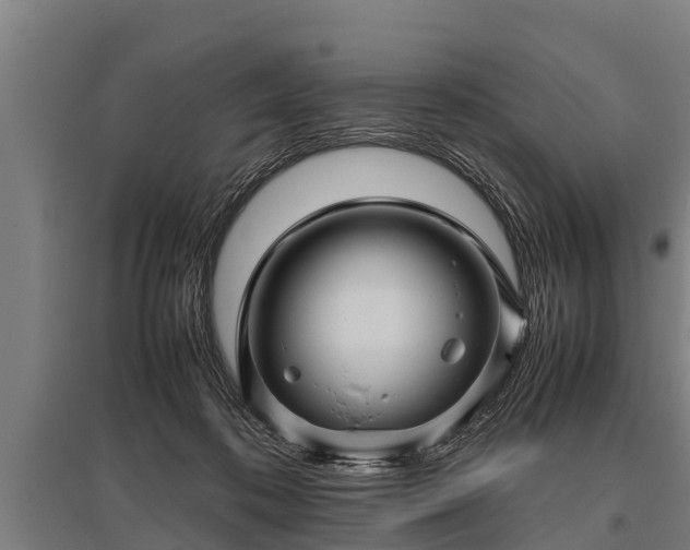 X0000095940316200801181406