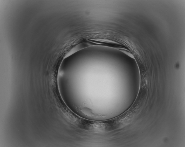 X0000095940317200801181406