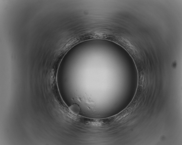 X0000095940318200801181406