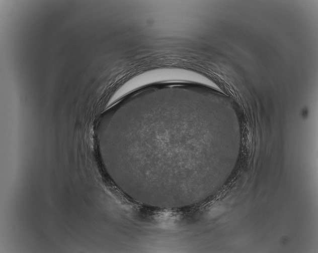 X0000095940319200801181406
