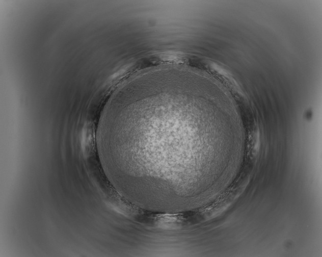 X0000095940320200801181406