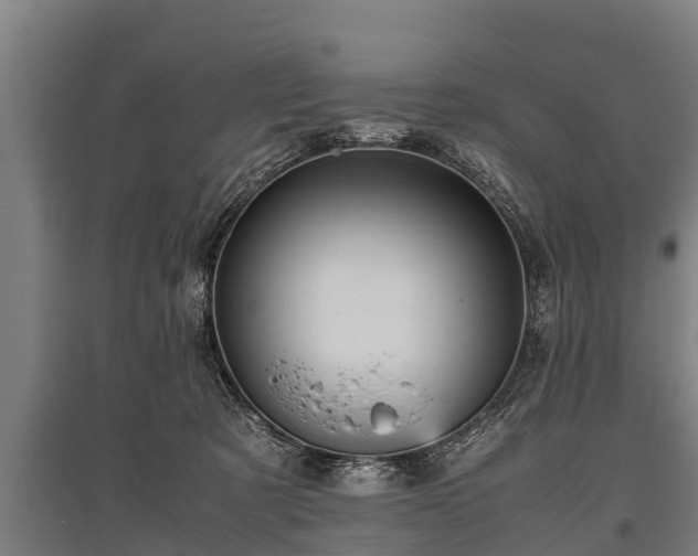 X0000095940321200801181406