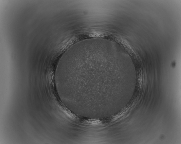 X0000095940322200801181406