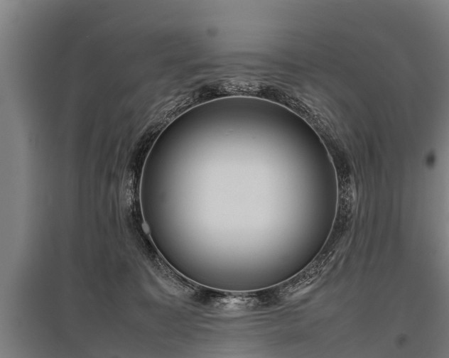 X0000095940323200801181406
