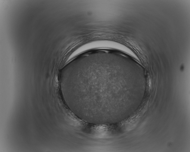 X0000095940325200801181406