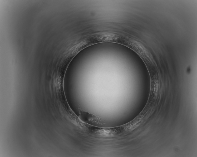 X0000095940326200801181406