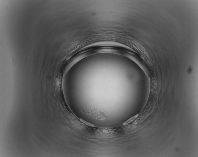 X0000095940329200801181406