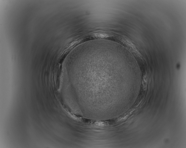 X0000095940330200801181406