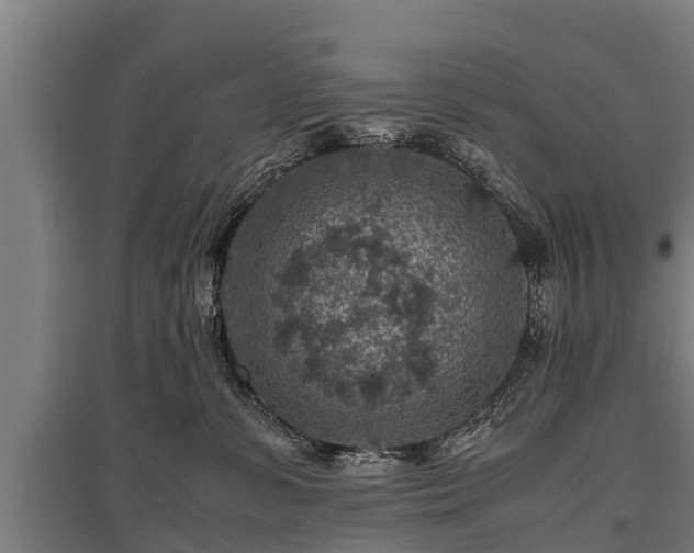 X0000095940331200801181406
