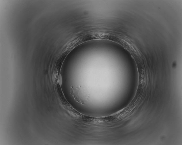 X0000095940332200801181406