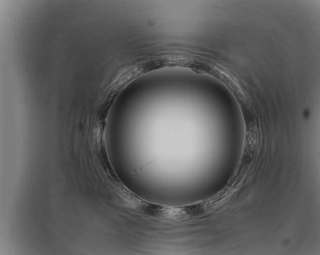 X0000095940333200801181406