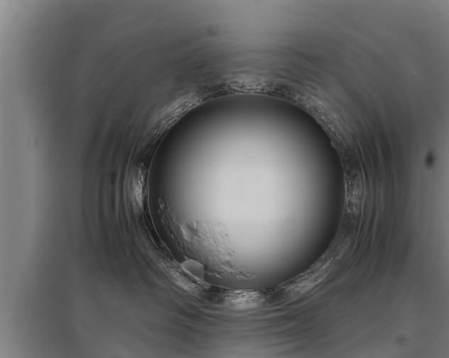 X0000095940334200801181406
