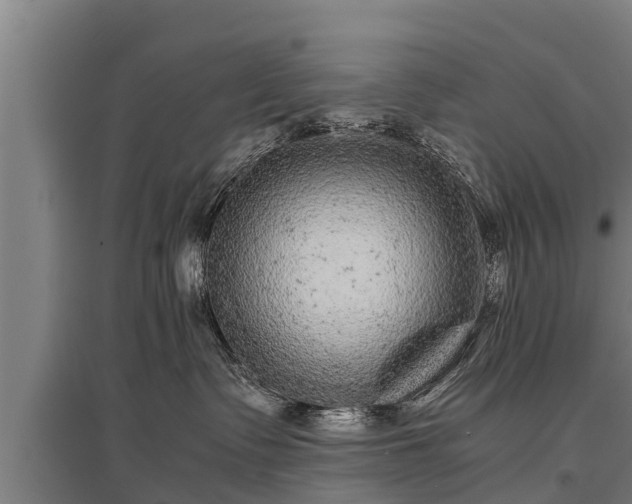 X0000095940335200801181406