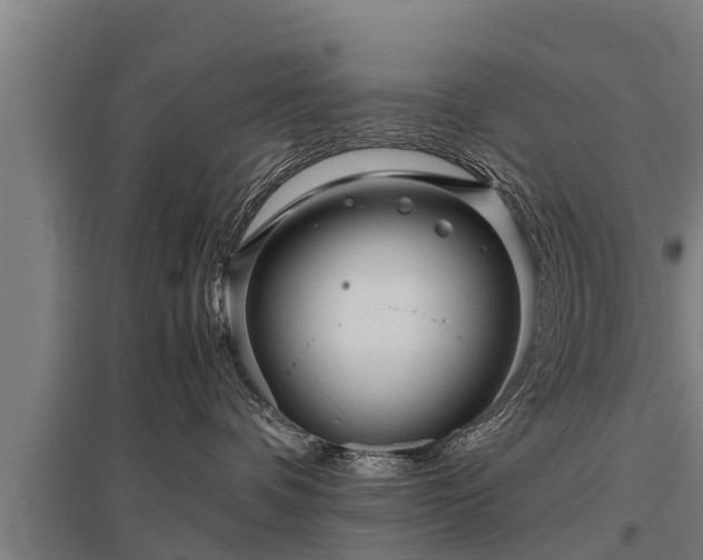 X0000095940336200801181406