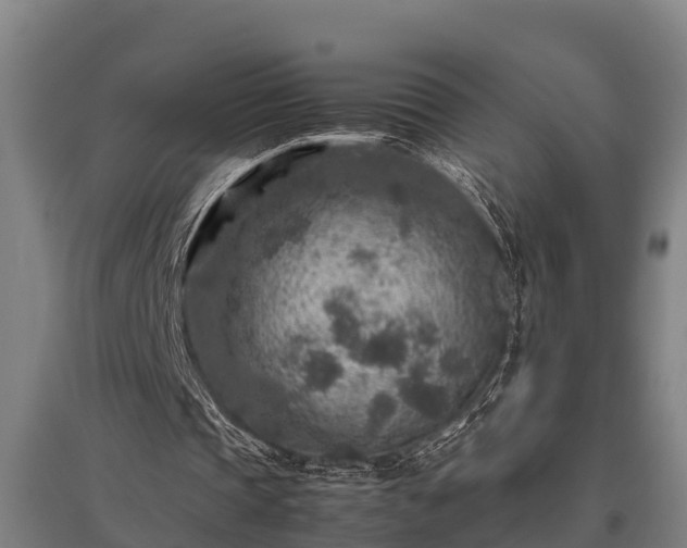 X0000095940337200801181405