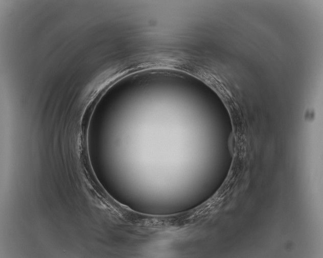 X0000095940338200801181405