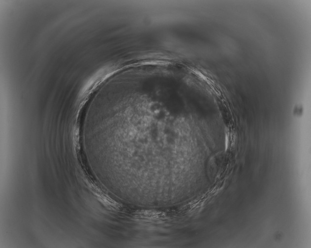 X0000095940339200801181405
