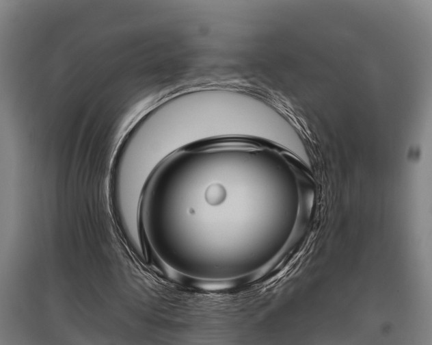 X0000095940340200801181405