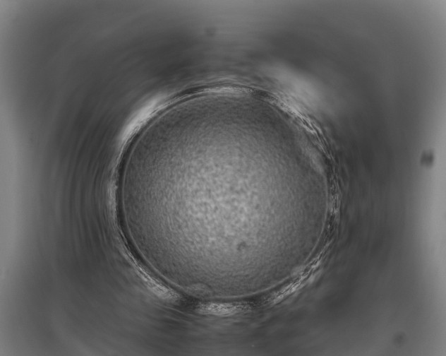X0000095940341200801181405