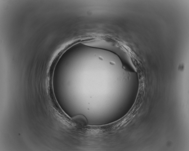 X0000095940342200801181405
