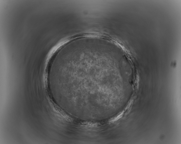 X0000095940343200801181405