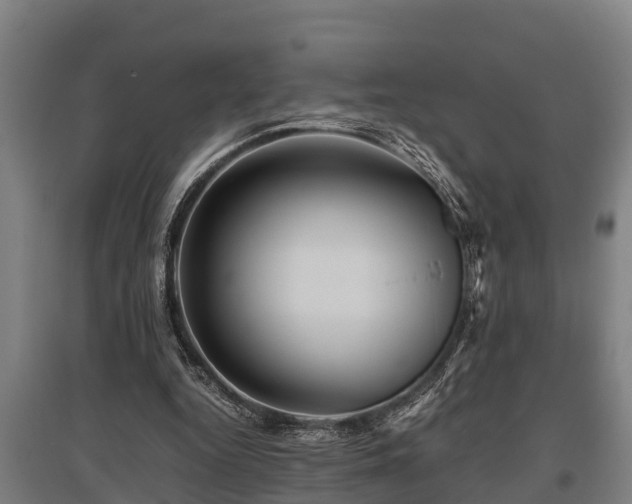 X0000095940344200801181405