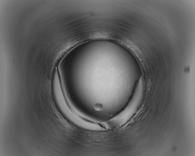 X0000095940345200801181405