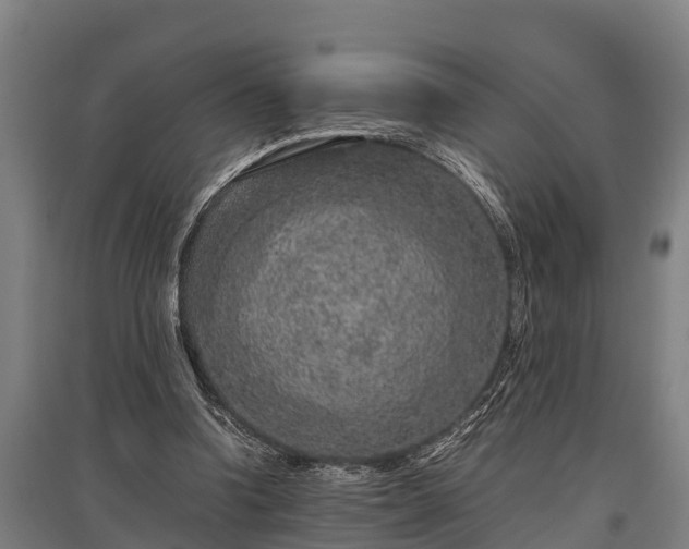 X0000095940346200801181405