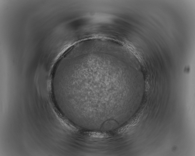 X0000095940347200801181405