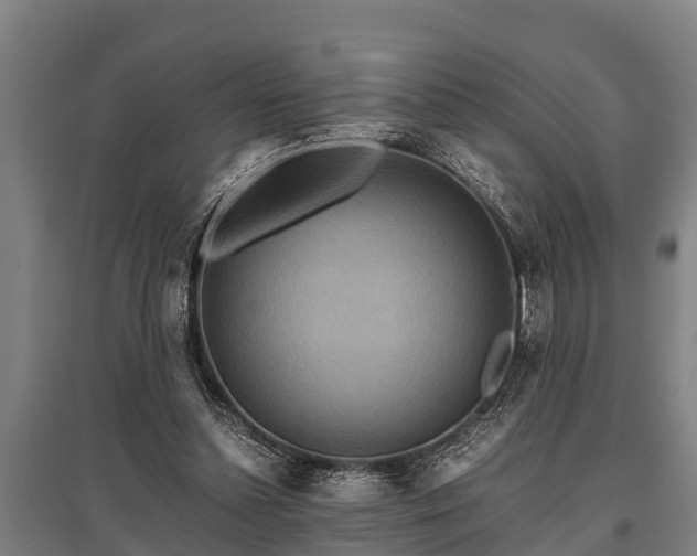 X0000095940348200801181405