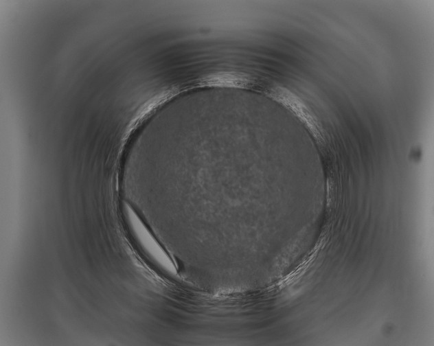 X0000095940349200801181405