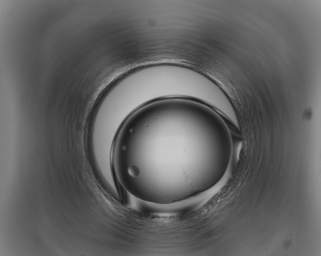 X0000095940350200801181406