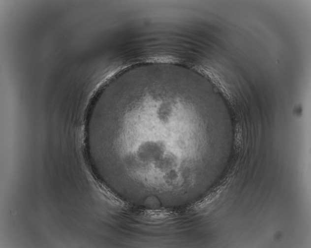 X0000095940351200801181406
