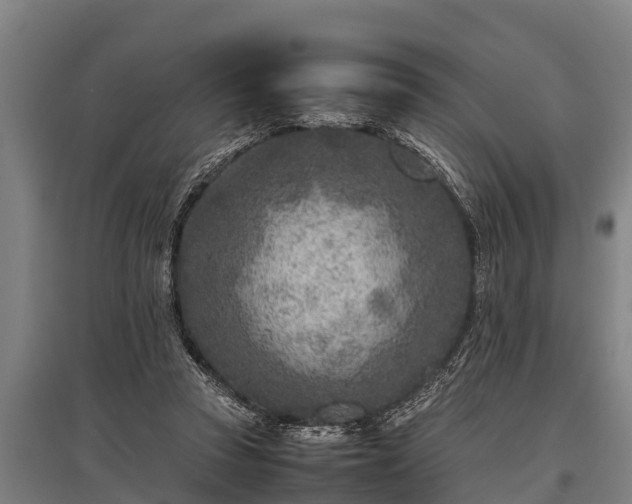 X0000095940353200801181406