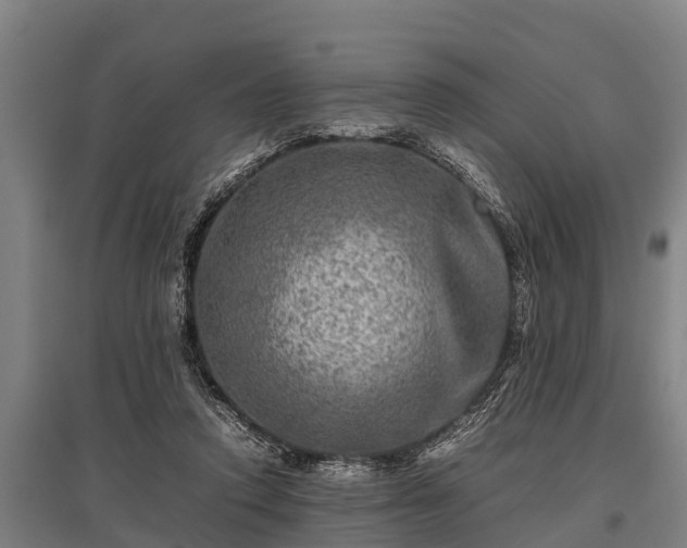 X0000095940354200801181406