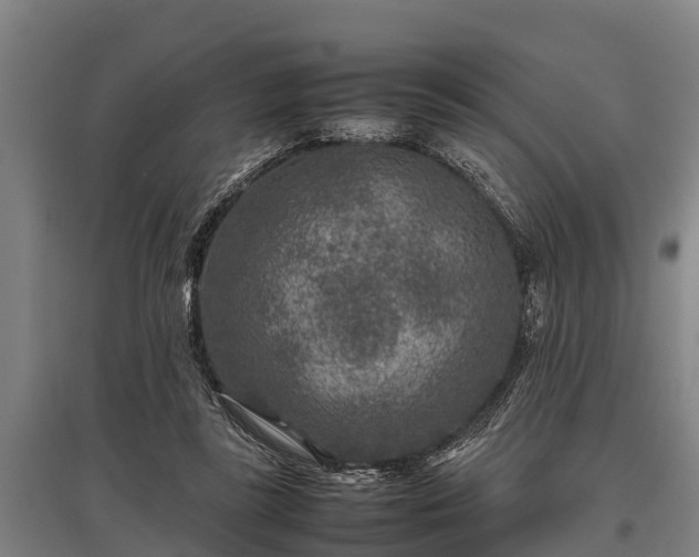X0000095940355200801181406