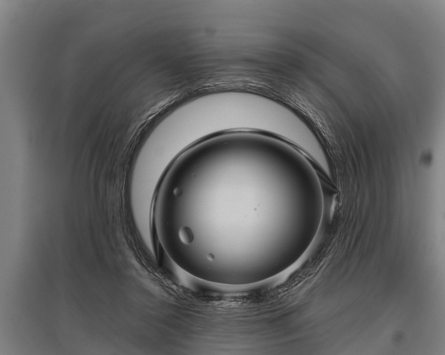 X0000095940356200801181406