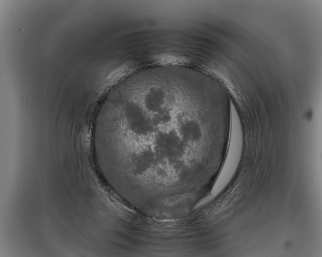 X0000095940357200801181406