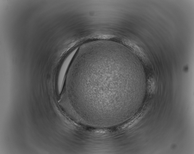 X0000095940358200801181406