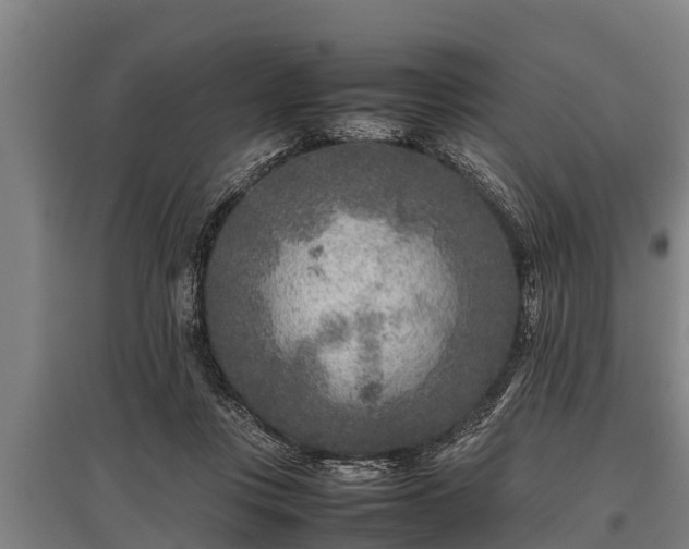 X0000095940359200801181406