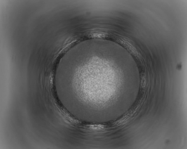 X0000095940363200801181406